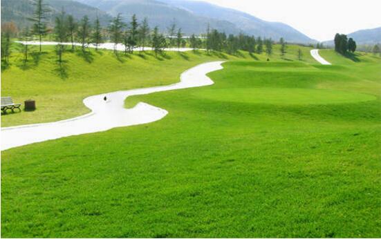 园林绿化改造工程施工常见误区,您中招了吗?(图1)